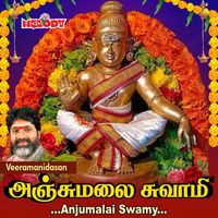 Veeramanidasan - Anjumalai Swamy