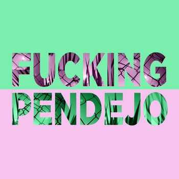 Rolling Hackers - Fucking Pendejo
