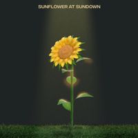 meinA - Sunflower at Sundown (Explicit)
