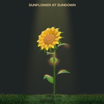 meinA - Sunflower at Sundown (Explicit)