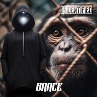 Unidentified - Brace