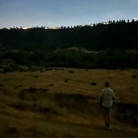 Nico Spinozzi - Like Old Memories
