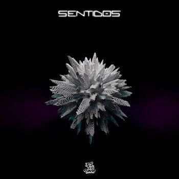 Birat Bitz - SENTIDOS (Explicit)