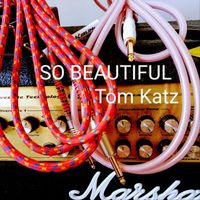 Tom Katz - So Beautiful