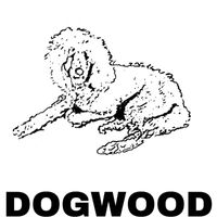 Dogwood - I Won't Let You Down