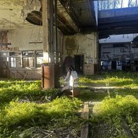 Wow - Project 60 (Explicit)