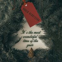 Robin Bengtsson - It's the Most Wonderful Time of the Year