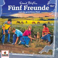 Fünf Freunde - Folge 164: und das gestohlene Pferd