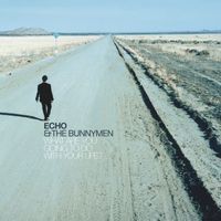 Echo & The Bunnymen - What Are You Going To Do With Your Life? (Remastered & Expanded)
