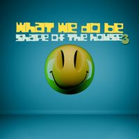 Wwiidobe - Shape Of The House 3