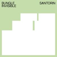 Bungle - Invisible