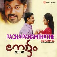 M. Jayachandran - Pacha Panamthathe (Instrumental)