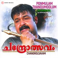Vidyasagar - Ponmulam Thandumoolum (Instrumental)