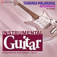 Bijibal - Tharaka Malarukal (Instrumental)