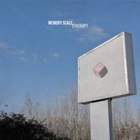 Memory Scale - Syntropy