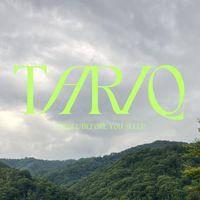 Tariq - Scroll Before You Sleep