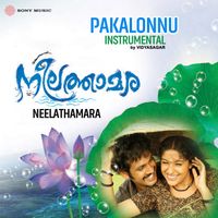 Vidyasagar - Pakalonnu (Instrumental)