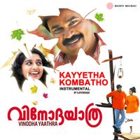Ilaiyaraaja - Kayyetha Kombatho (Instrumental)