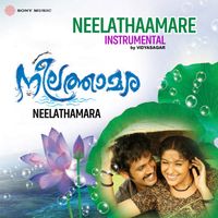 Vidyasagar - Neelathaamare (Instrumental)