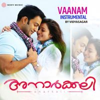 Vidyasagar - Vaanam (Instrumental)