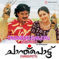Vidyasagar - Chaandukudanjoru (Instrumental)
