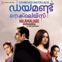 Vidyasagar - Nilaamalare (Instrumental)