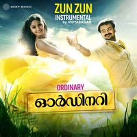Vidyasagar - Zun Zun Sundari (Instrumental)