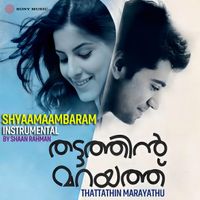 Shaan Rahman - Shyaamaambaram (Instrumental)