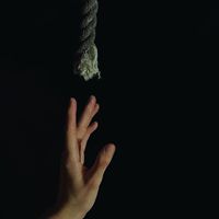 Venus - Survive