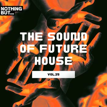 Various Artists - Future House Selections, Vol. 25