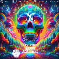 Gauge - EDM Unlimited