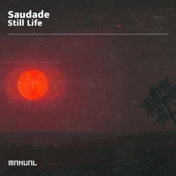 Saudade - Still Life
