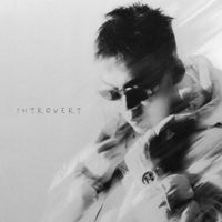 IntroVert - Белая метель
