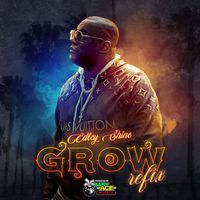 Edley Shine - GROW (REFIX REMIXES [Explicit])