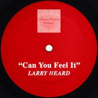 Larry Heard - Can You Feel It