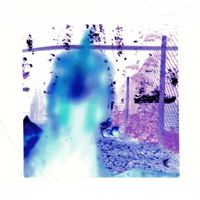 Hilltop Howlers - Goldmine