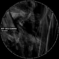 XANDRA - Thesaurus