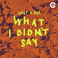 just a boy - What I Didn't Say