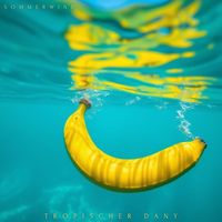 Tropischer Dany - Sommerwind