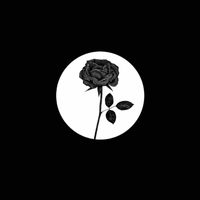 Noah Loco - Love Me Down