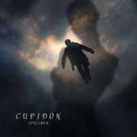 Specimen - CUPIDON