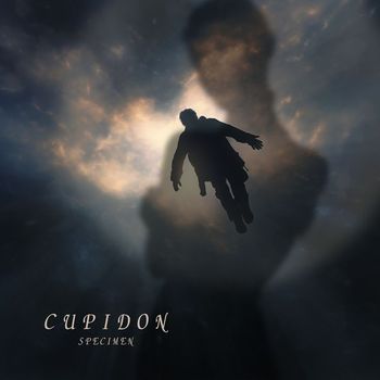 Specimen - CUPIDON