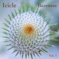 Icicle - Bareness, Vol. 1 (Unplugged)