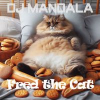 DJ Mandala - Fred the Cat