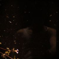 Oswal - Miroir (Explicit)