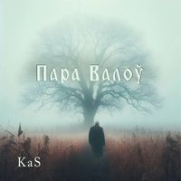 KaS - Пара валоў