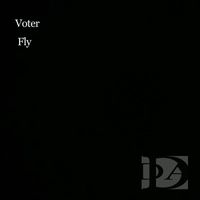 Voter - Fly