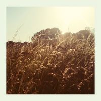 Mark Hawkins - Sweet