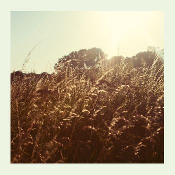 Mark Hawkins - Sweet