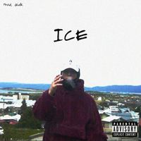 SIMO - ICE (Explicit)